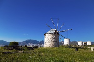 Windmills of Bodrum