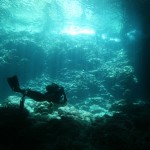 Fethiye Diving - Seahorse - cave dive 3