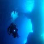 Fethiye Diving - seahorse - 7