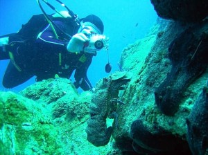 Okyanus JD - diving - underwater shoot