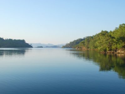 bencik-cove Bencik Cove